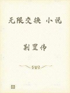 无限交换 小说